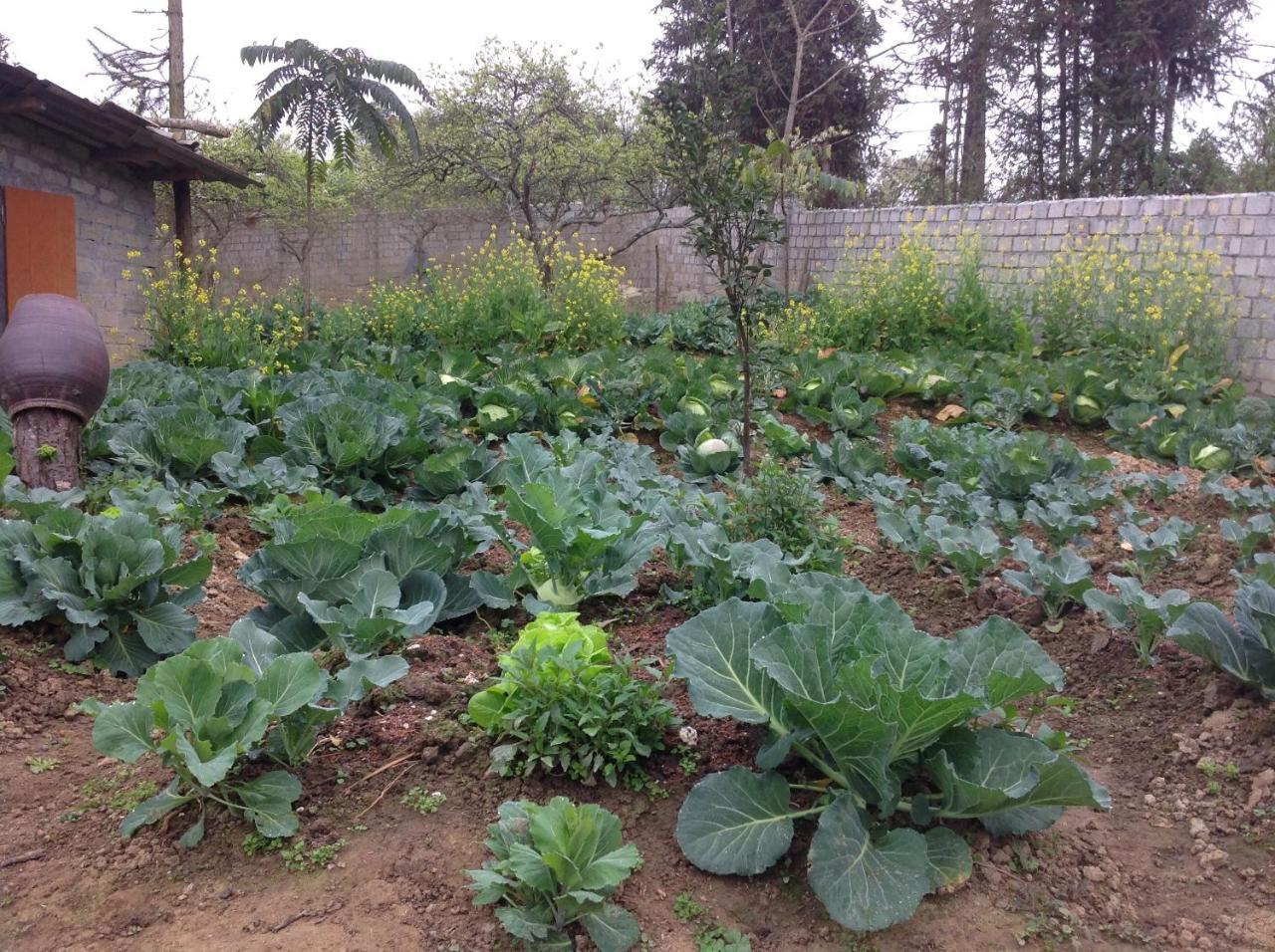 Sa House Bac Ha Apartment Bagian luar foto