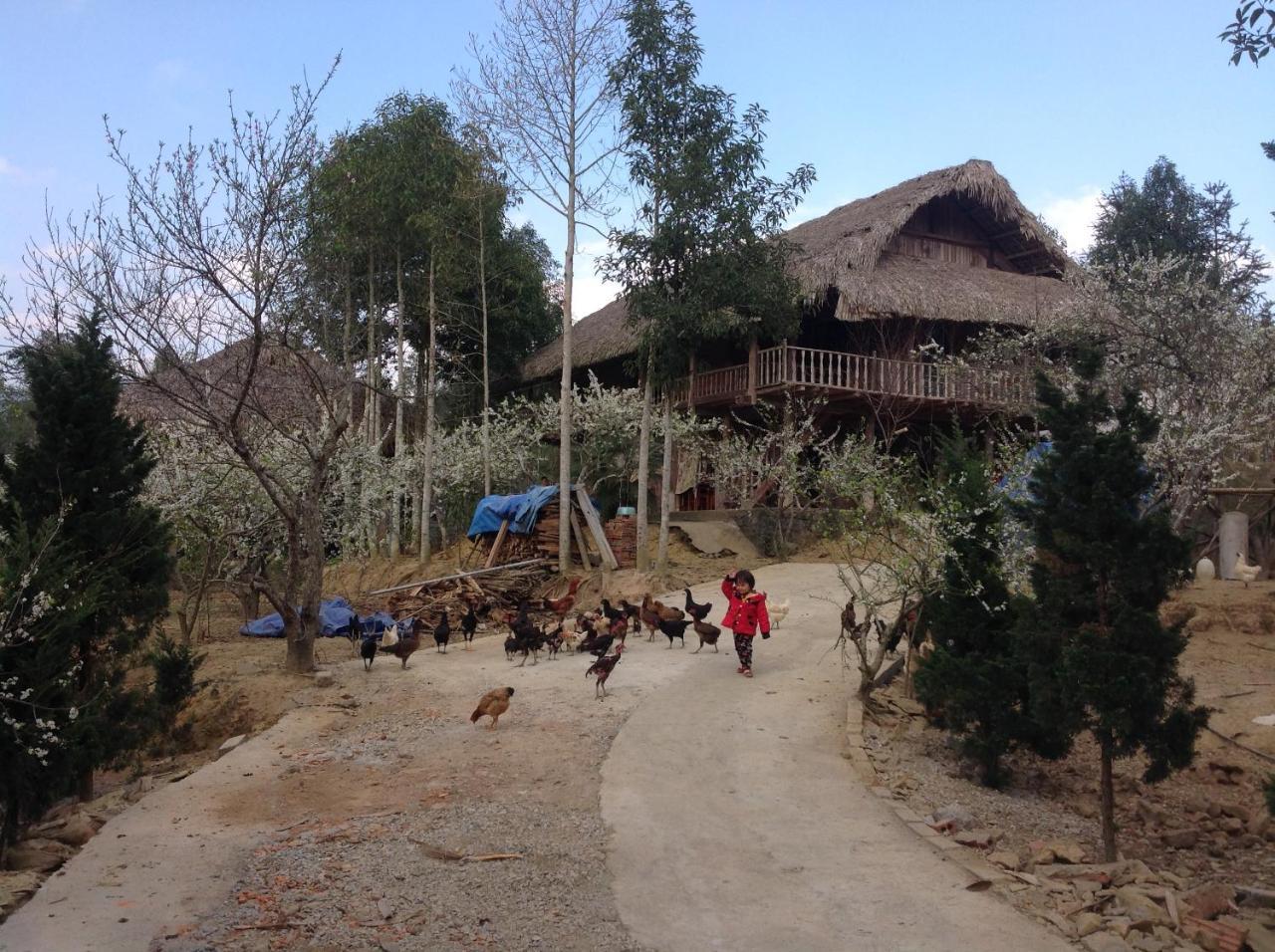 Sa House Bac Ha Apartment Bagian luar foto